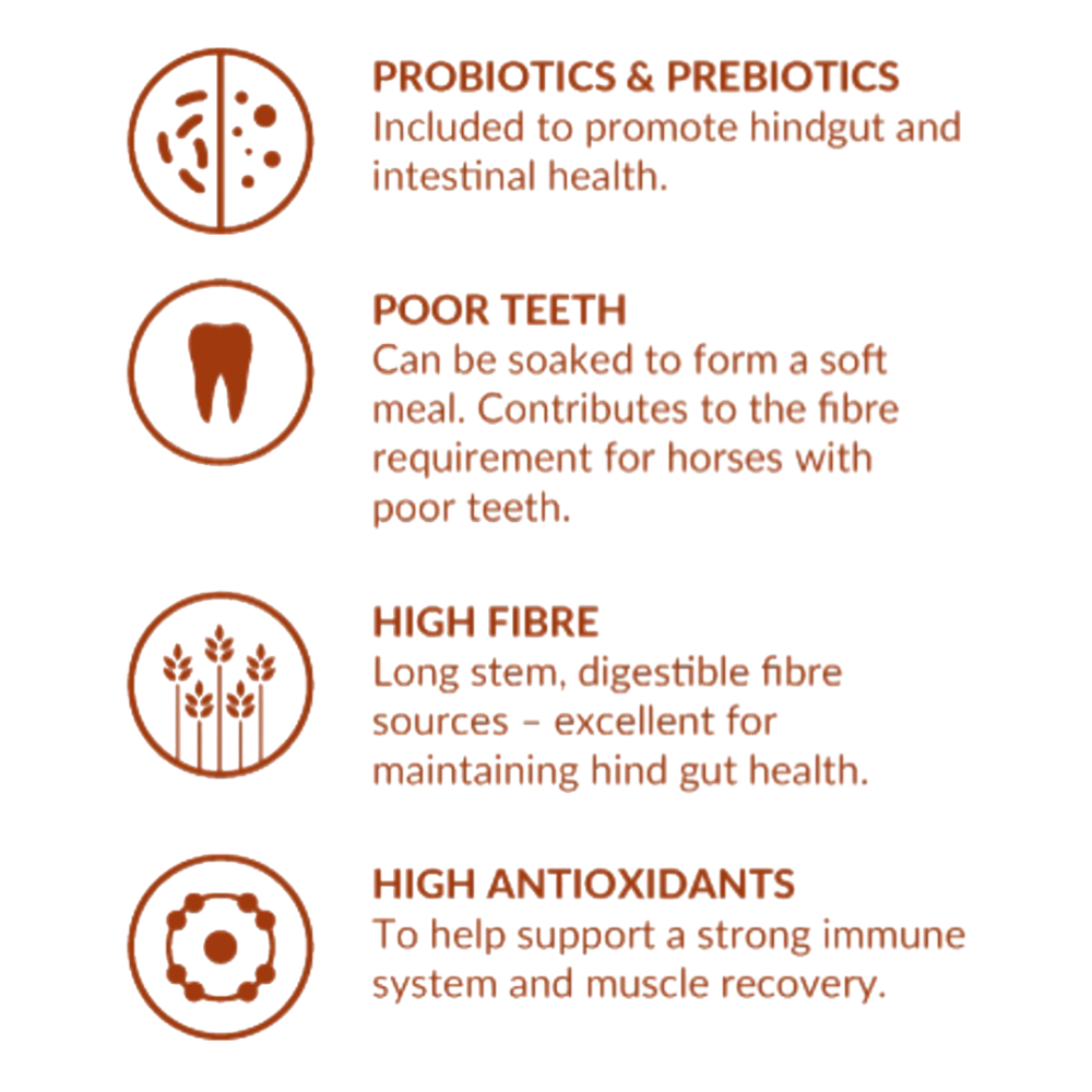 Old Timer Balanced Grain Free Feed For Ageing Horses