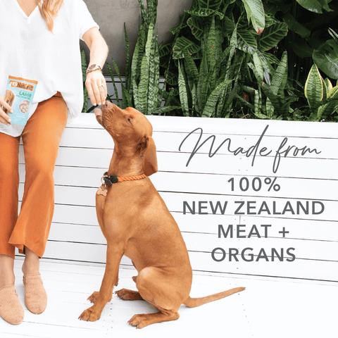 Beef Healthy Bites Grain Free Freeze Dried Dog Treats