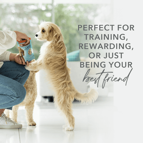Beef Healthy Bites Grain Free Freeze Dried Dog Treats