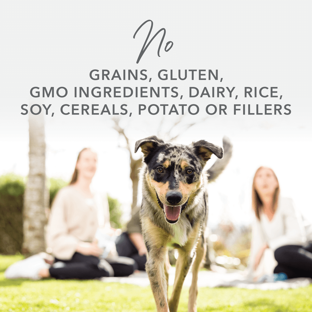 Freeze Dried Lamb & King Salmon Raw Dry Dog Food