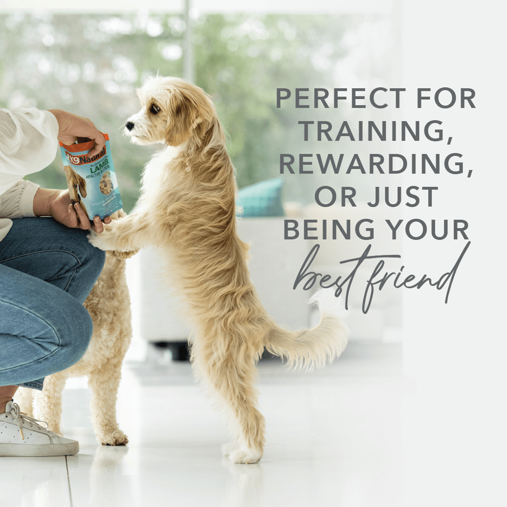 Lamb Healthy Bites Grain Free Freeze Dried Dog Treats
