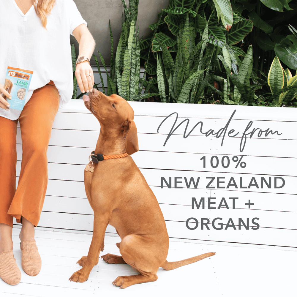 Lamb Healthy Bites Grain Free Freeze Dried Dog Treats