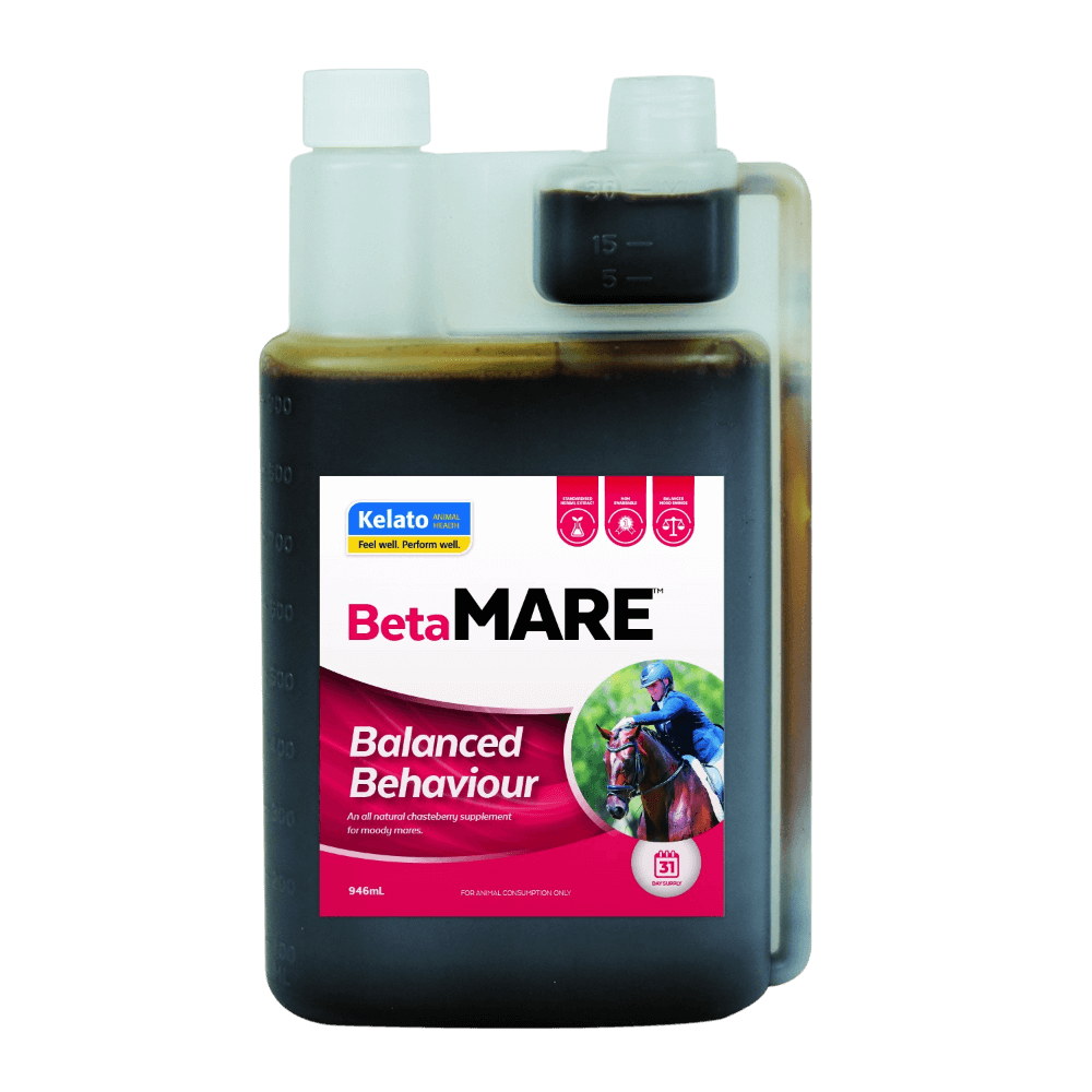 Betamare Balanced Behaviour Chasteberry Horse Supplement