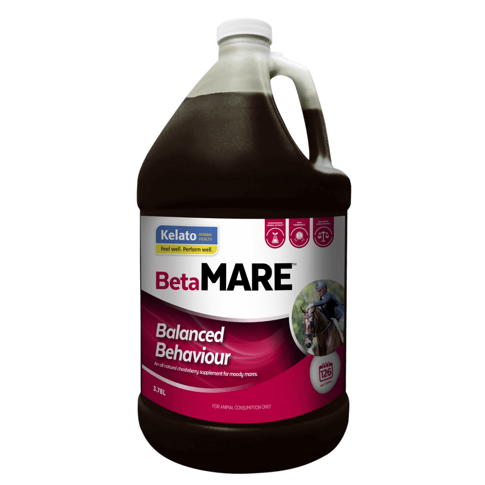 Betamare Balanced Behaviour Chasteberry Horse Supplement