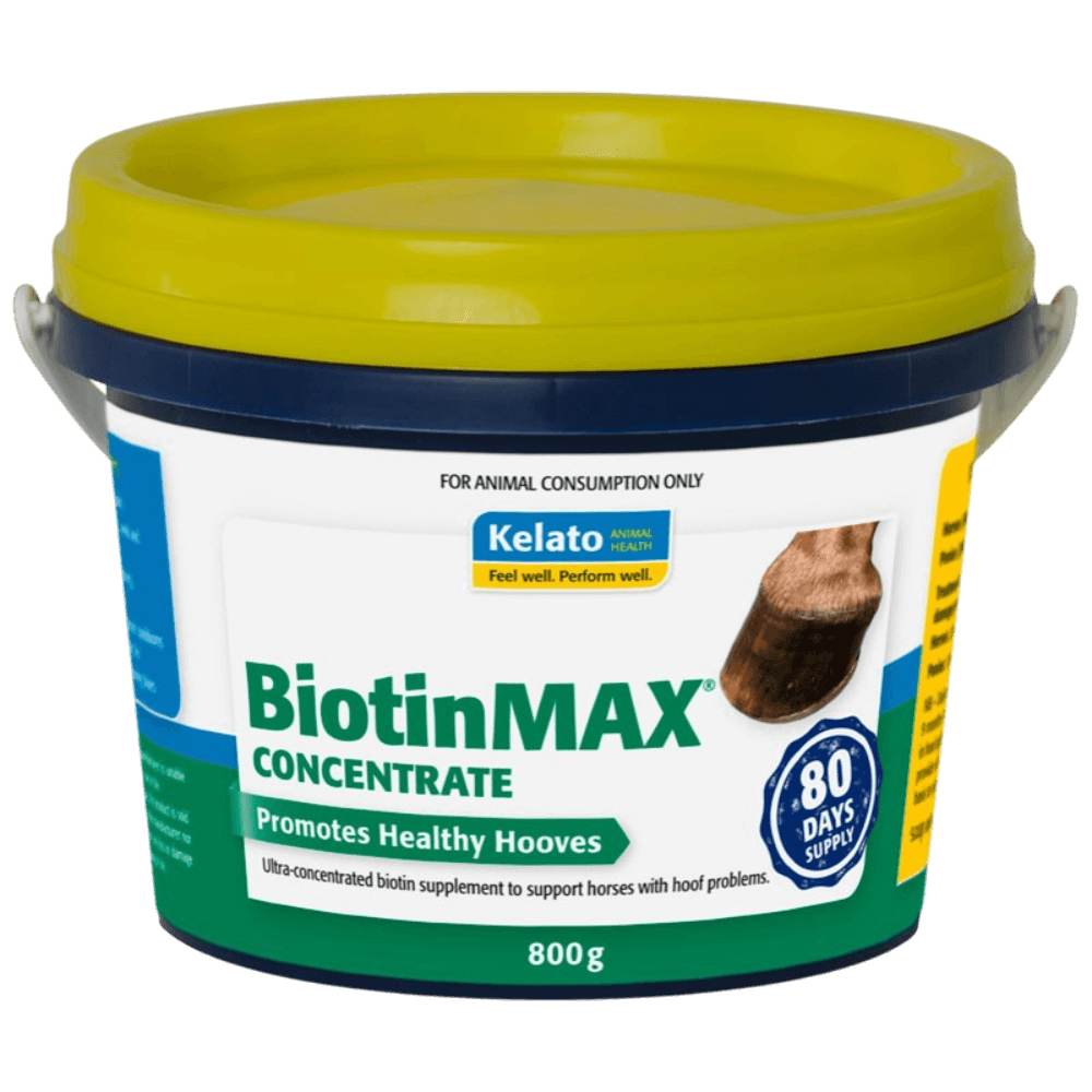 Biotin Max Concentrate Healthy Hoof Support Horse Supplement