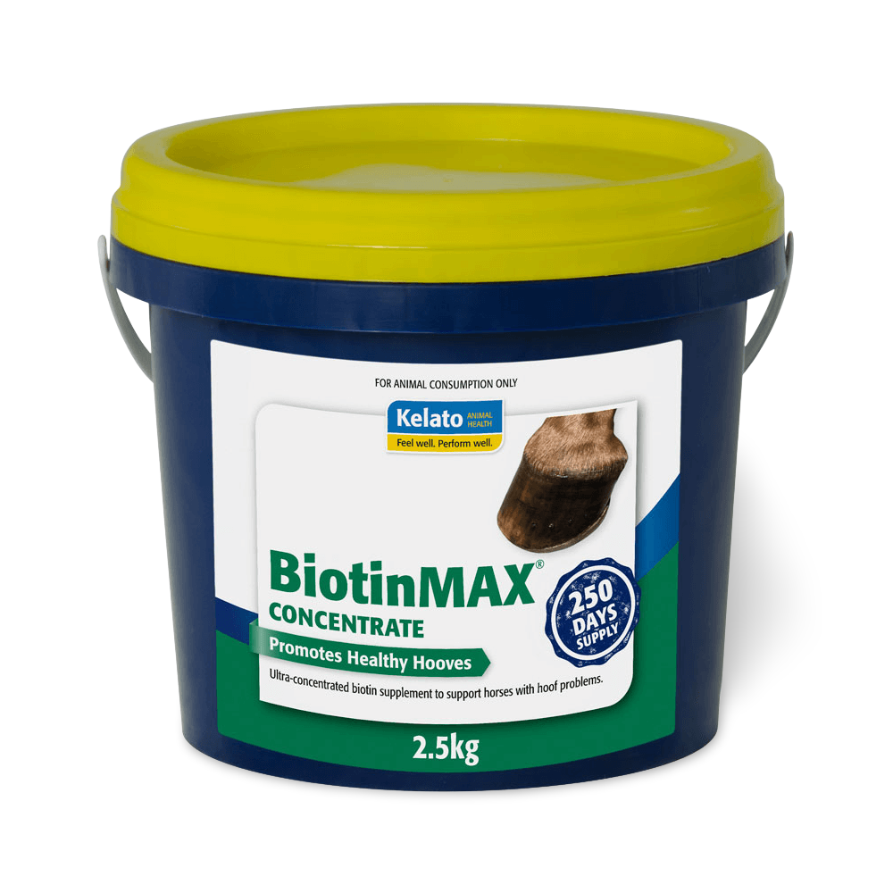 Biotinmax Concentrate