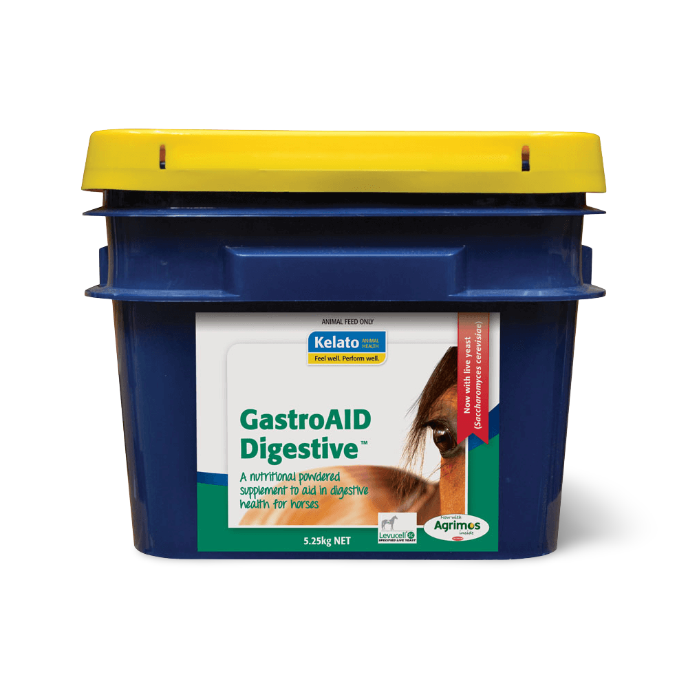 Gastroaid Digestive Powder