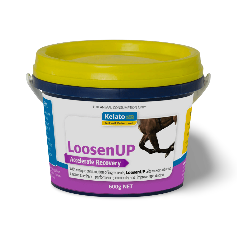Loosen Up Vitamin E Supplement