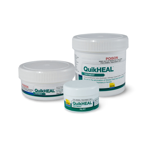 Quikheal Greasy Heel Ointment