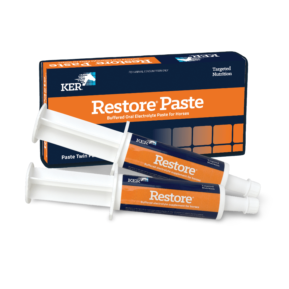 Targeted Nutrition Equivit Restore Electrolyte Paste
