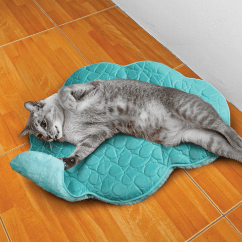 Cat Playspaces Cloud Catnip Plush Playmat