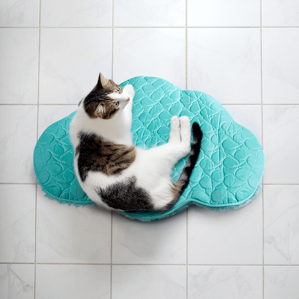Cat Playspaces Cloud Catnip Plush Playmat
