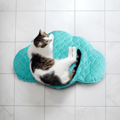 Cat Playspaces Cloud Catnip Plush Playmat