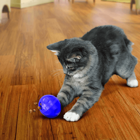 Cat Treat Dispensing Ball