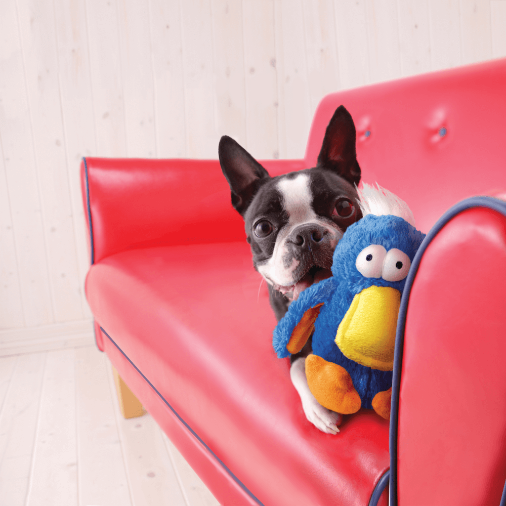 Dodo Dig Dodo Dog Toy Assorted Colours – petsome