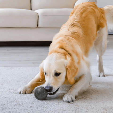 Duramax Ball Dog Fetch Toy