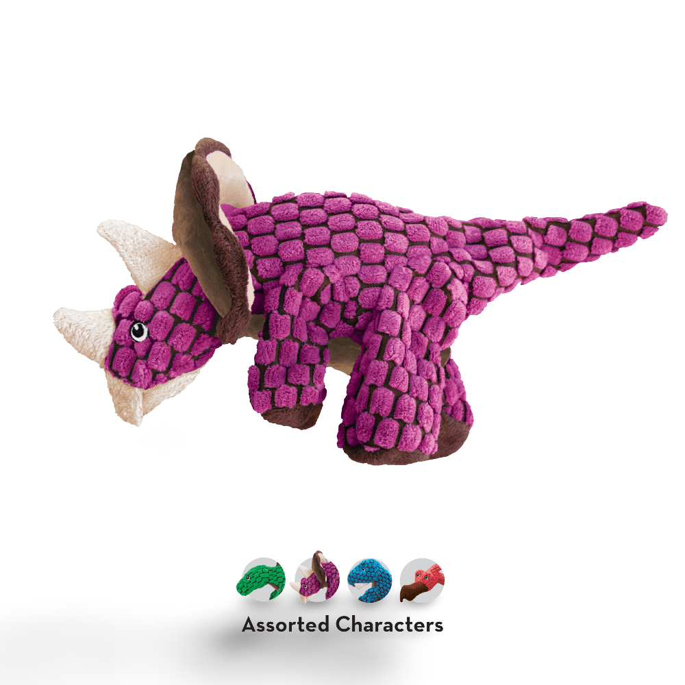 Dyno Soft Crinkle Cat Toy Assorted Characters