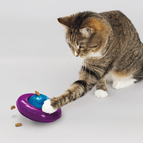 Infused Cat Gyro Treat Dispensing Cat Toy
