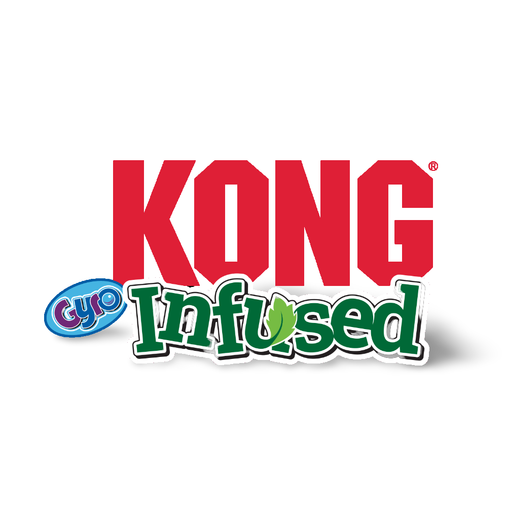 Infused Cat Gyro Treat Dispensing Cat Toy