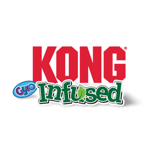 Infused Cat Gyro Treat Dispensing Cat Toy