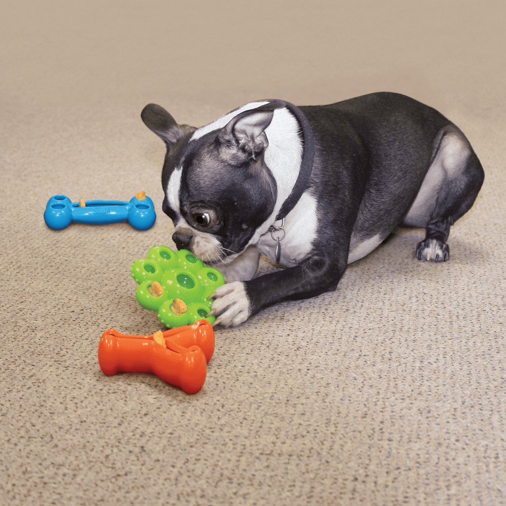 Quest Wishbone Dog Toy