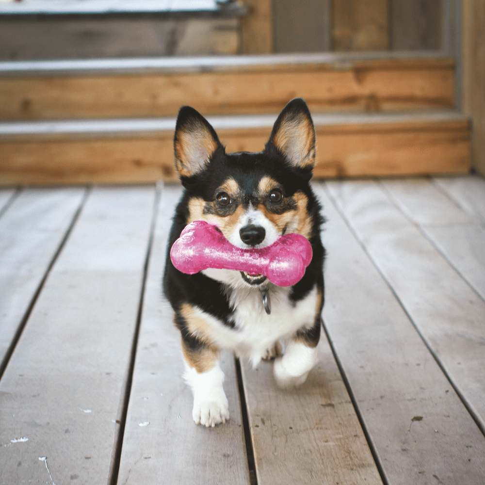 Squeezz Crackle Stick