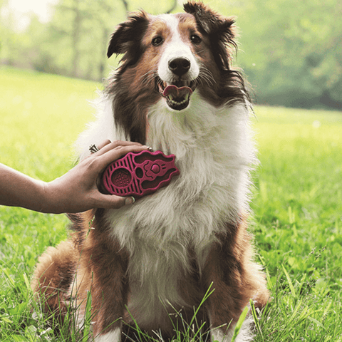 ZoomGroom Rubber Curry Brush for Dogs