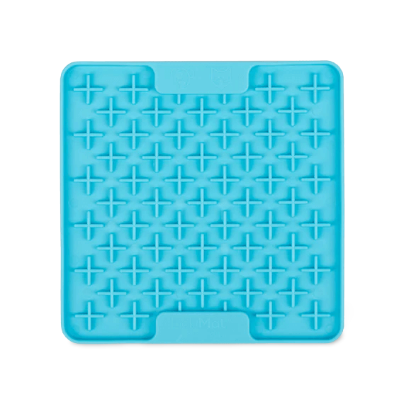 Mini Buddy Turquoise