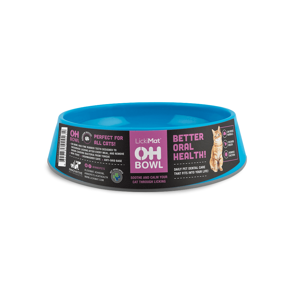 Oh Bowl Oral Health Bowl Cat Turquoise