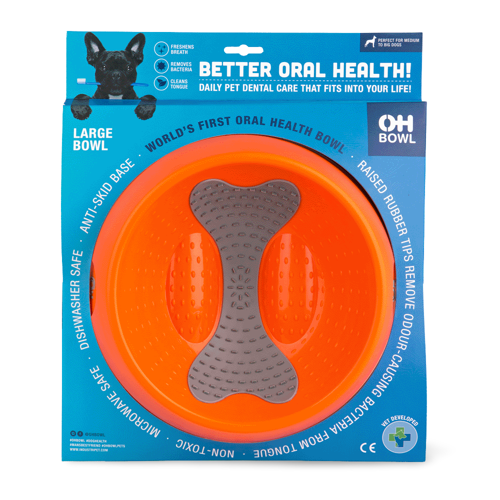 Oh Pet Bowl Orange
