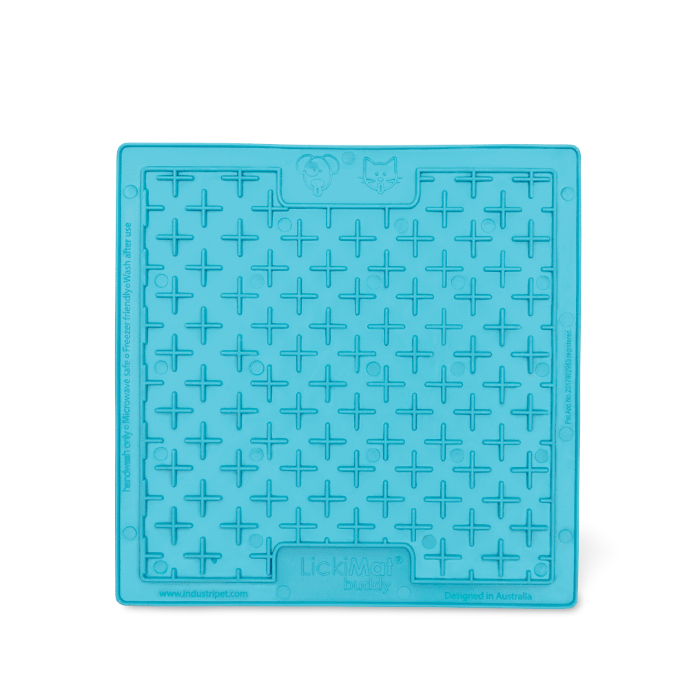 Playdate Turquoise Cat