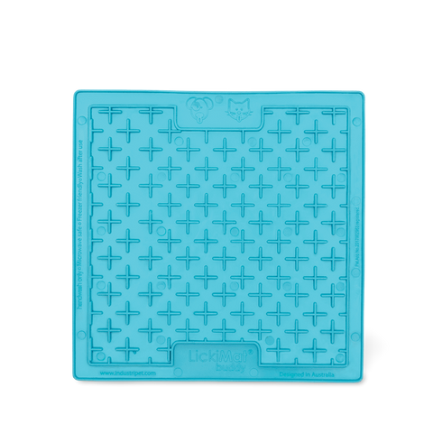 Playdate Turquoise Cat