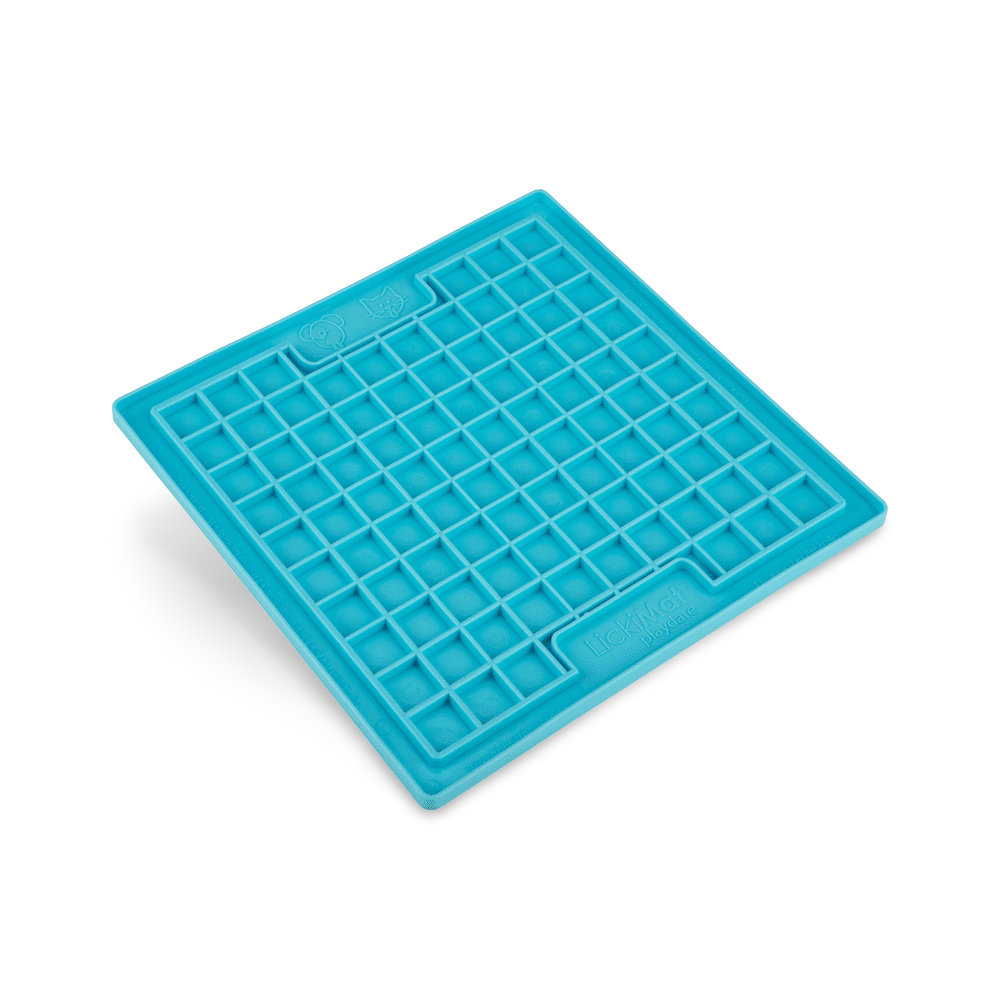 Playdate Turquoise Cat