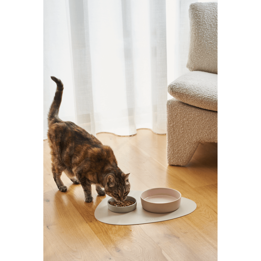 Cat Feeding Bowl Rose Quartz