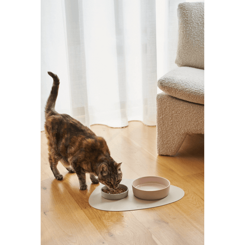 Cat Feeding Bowl Rose Quartz