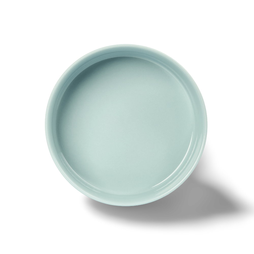 Cat Feeding Bowl Sky