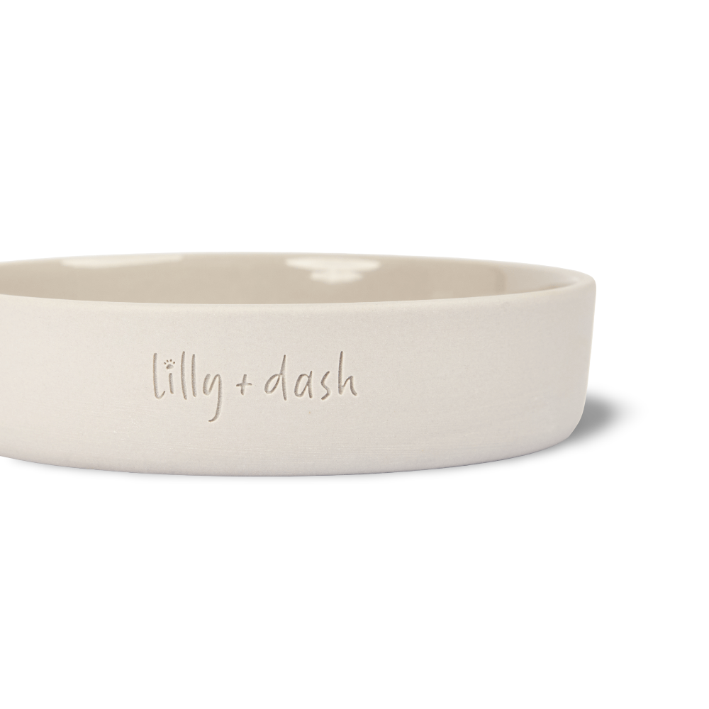 Cat Feeding Bowl Slate