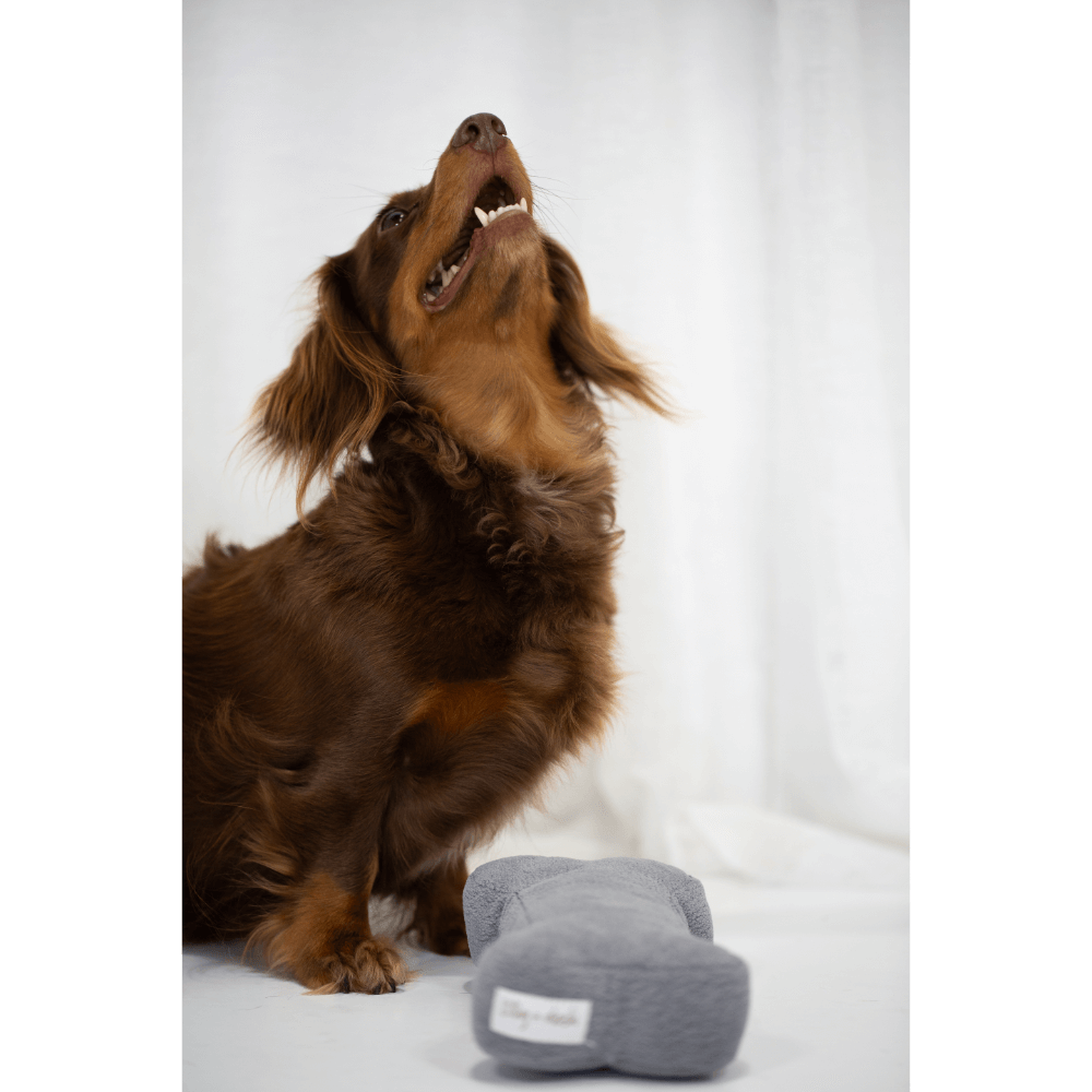 Dog Bone Toy Charcoal