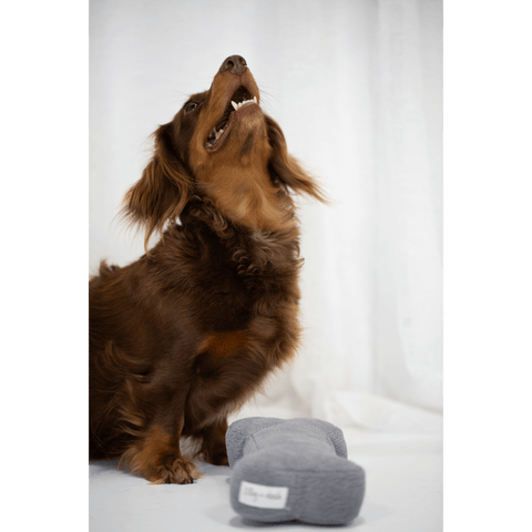 Dog Bone Toy Charcoal