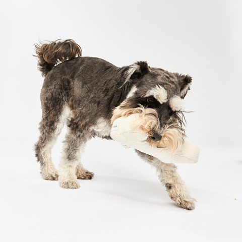Dog Bone Toy Milk