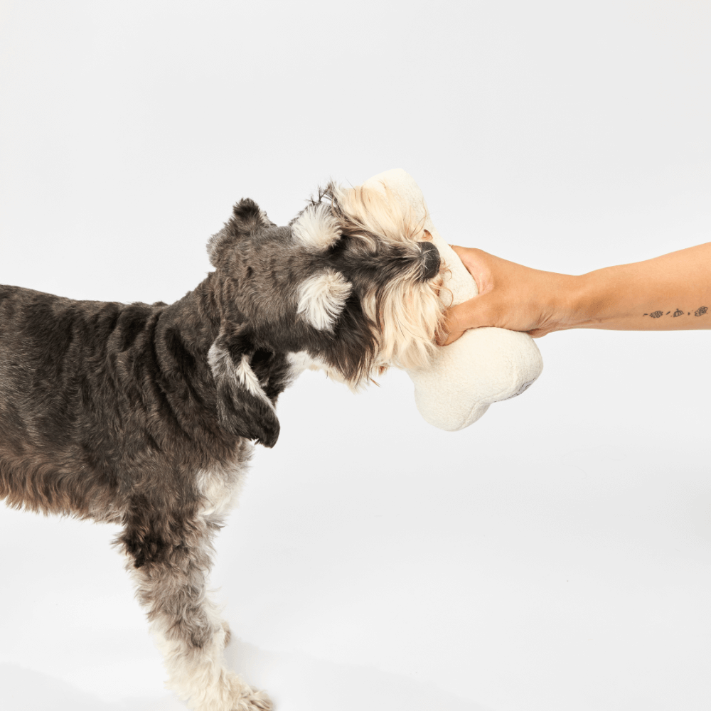Dog Bone Toy Milk