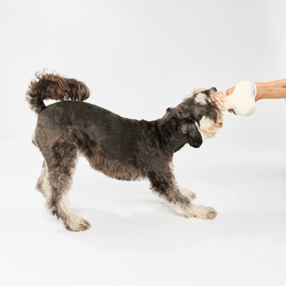 Dog Bone Toy Milk