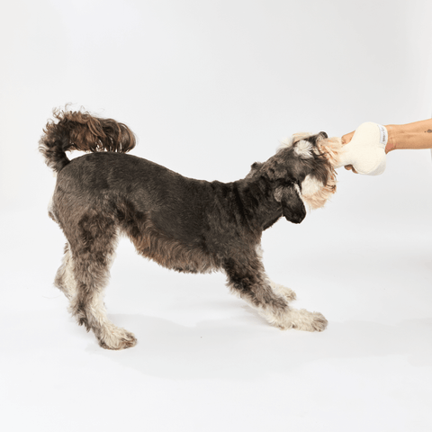 Dog Bone Toy Milk