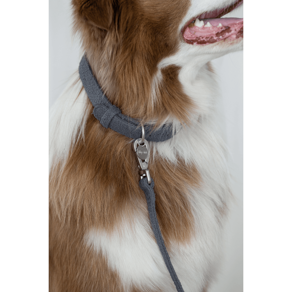 Boucle Dog Lead in Charcoal