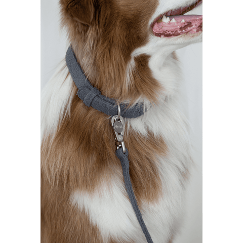 Boucle Dog Lead in Charcoal