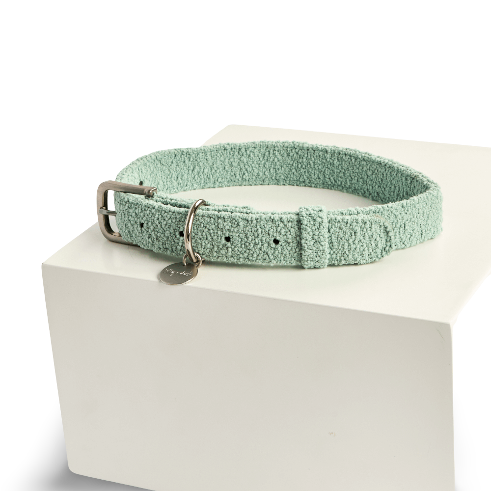 Boucle Dog Collar in Sage Green