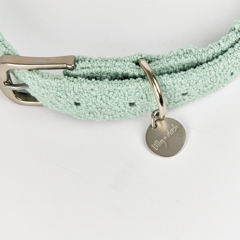 Boucle Dog Collar in Sage Green