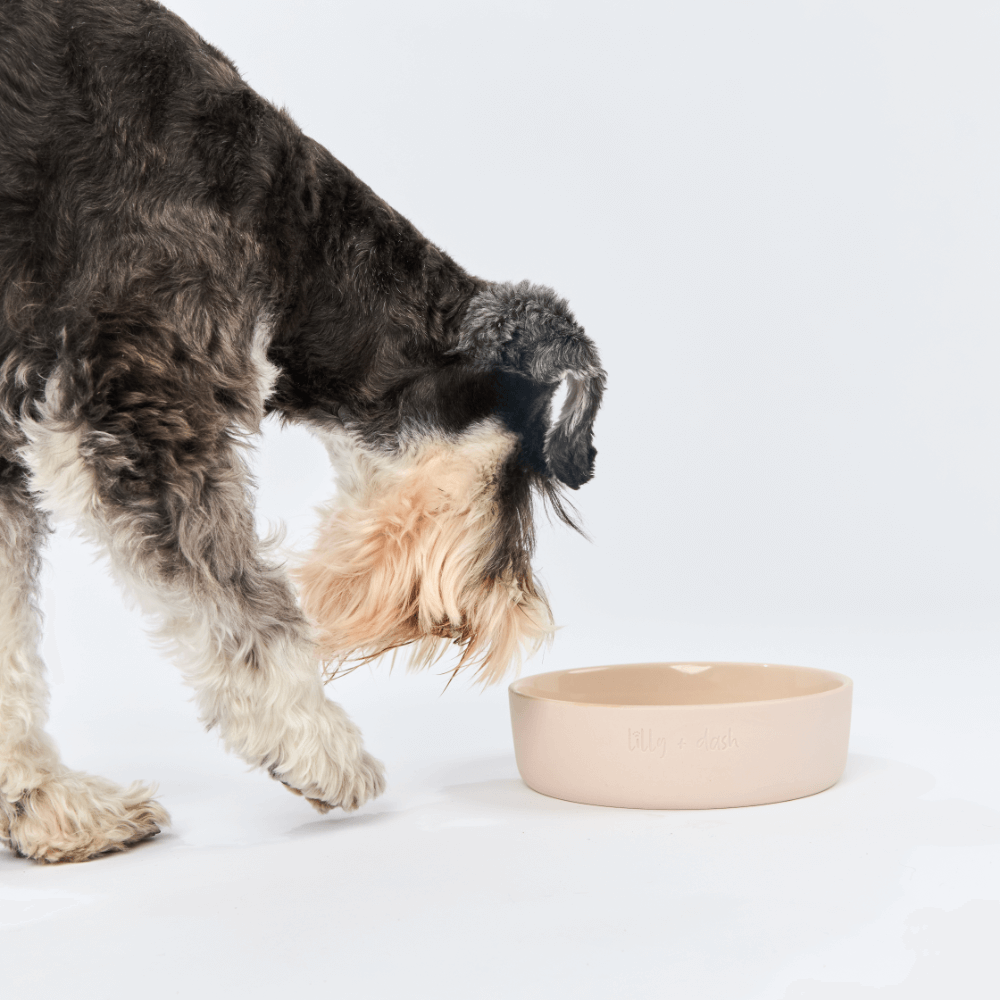 Dog Feeding Bowl Rose Quartz