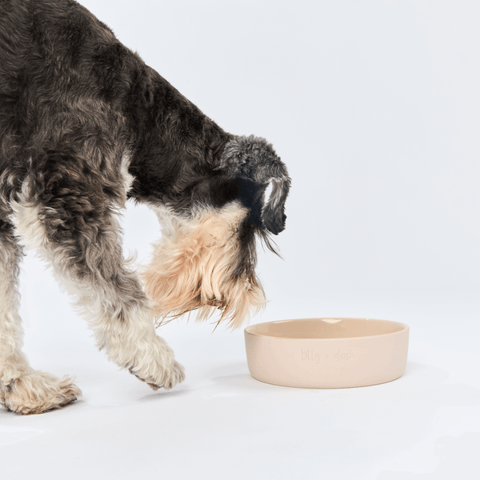 Dog Feeding Bowl Rose Quartz