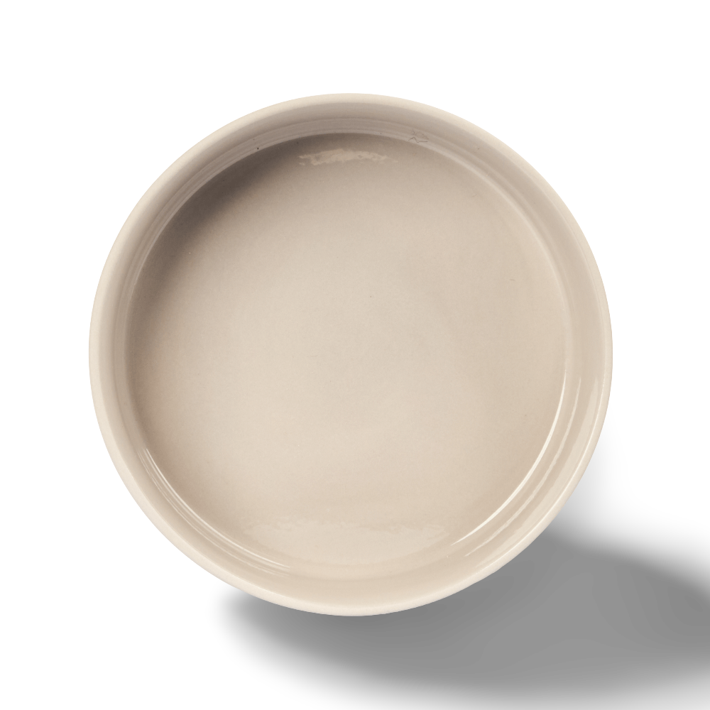 Dog Feeding Bowl Slate